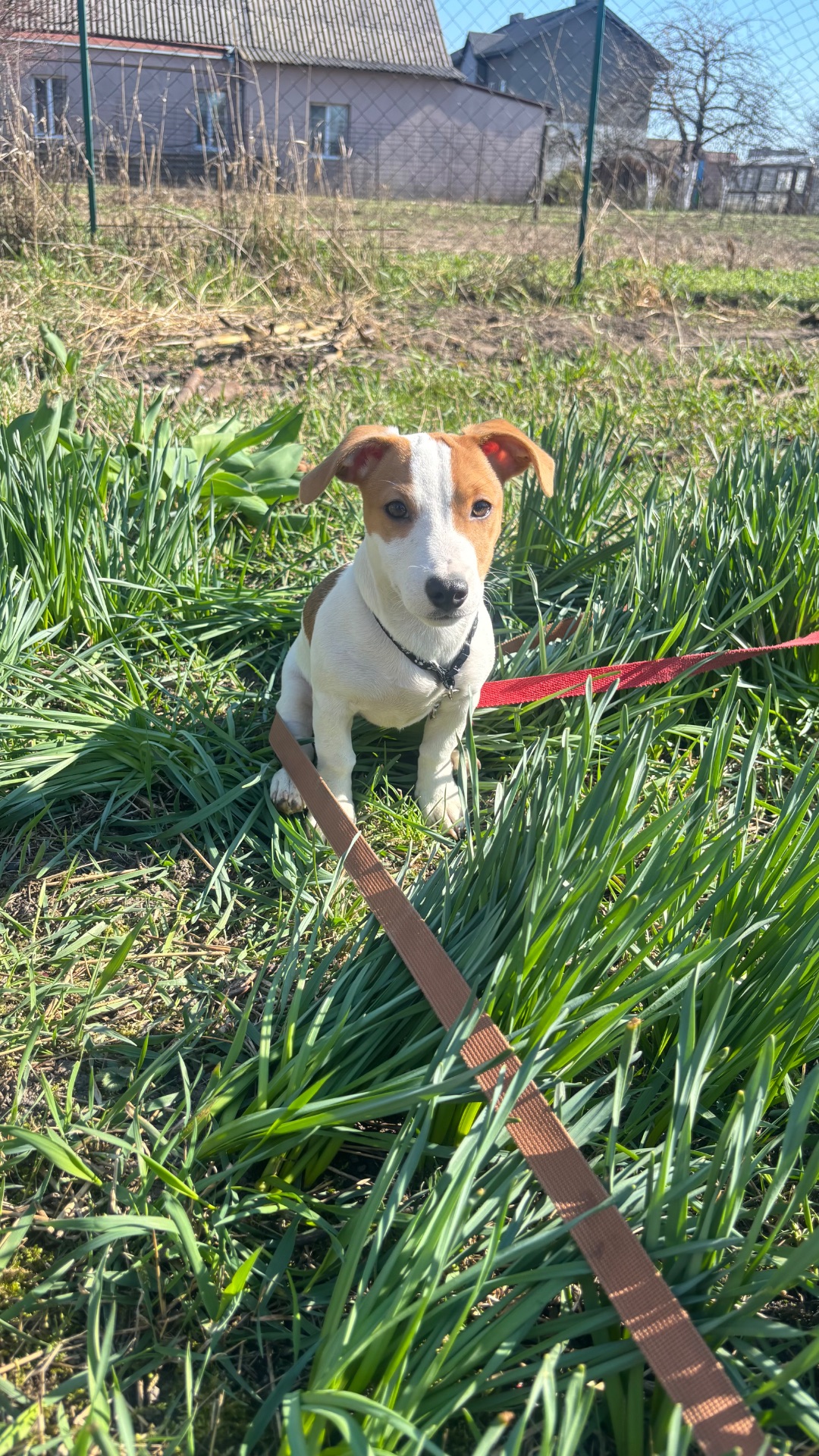 Дівчинка 4 місяці