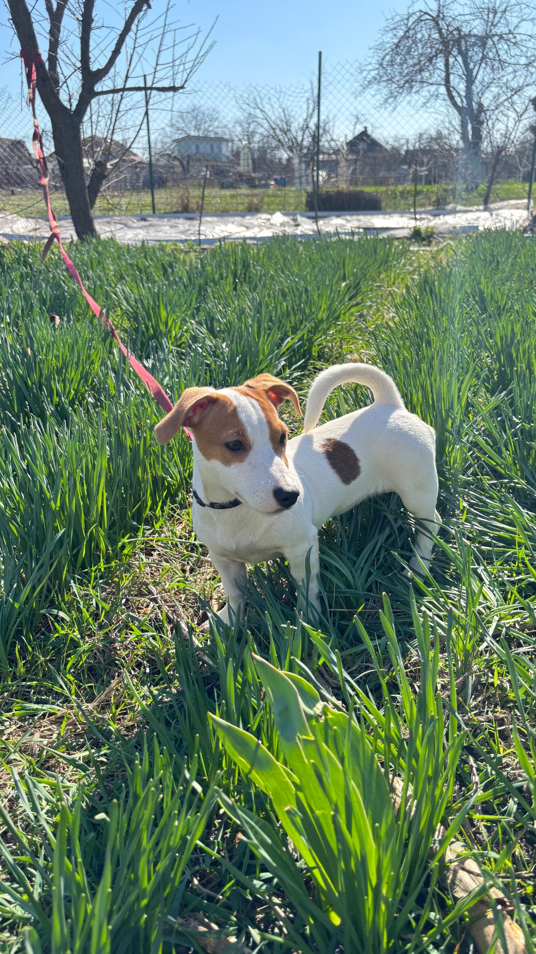 Дівчинка 4 місяці