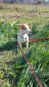 Дівчинка 4 місяці