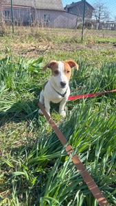 Дівчинка 4 місяці