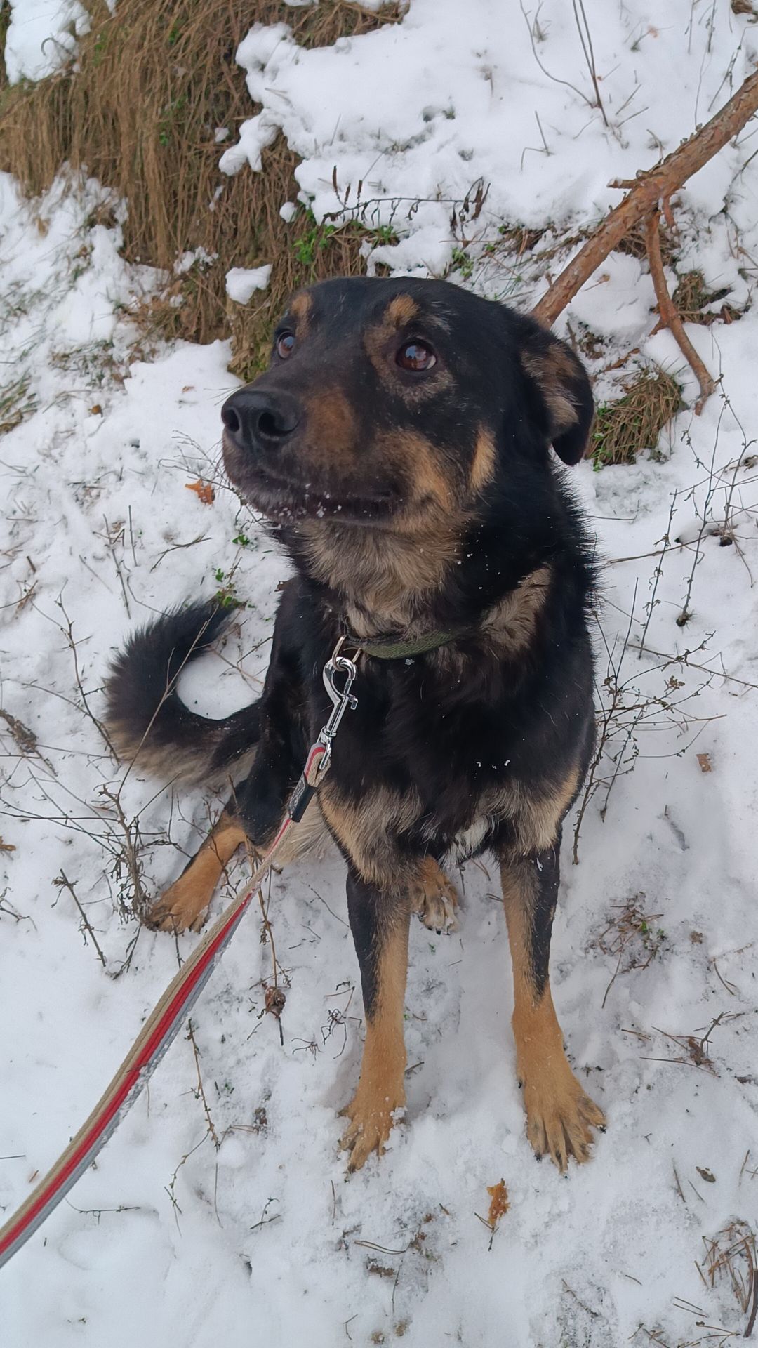 Тео - не типовий хлопець