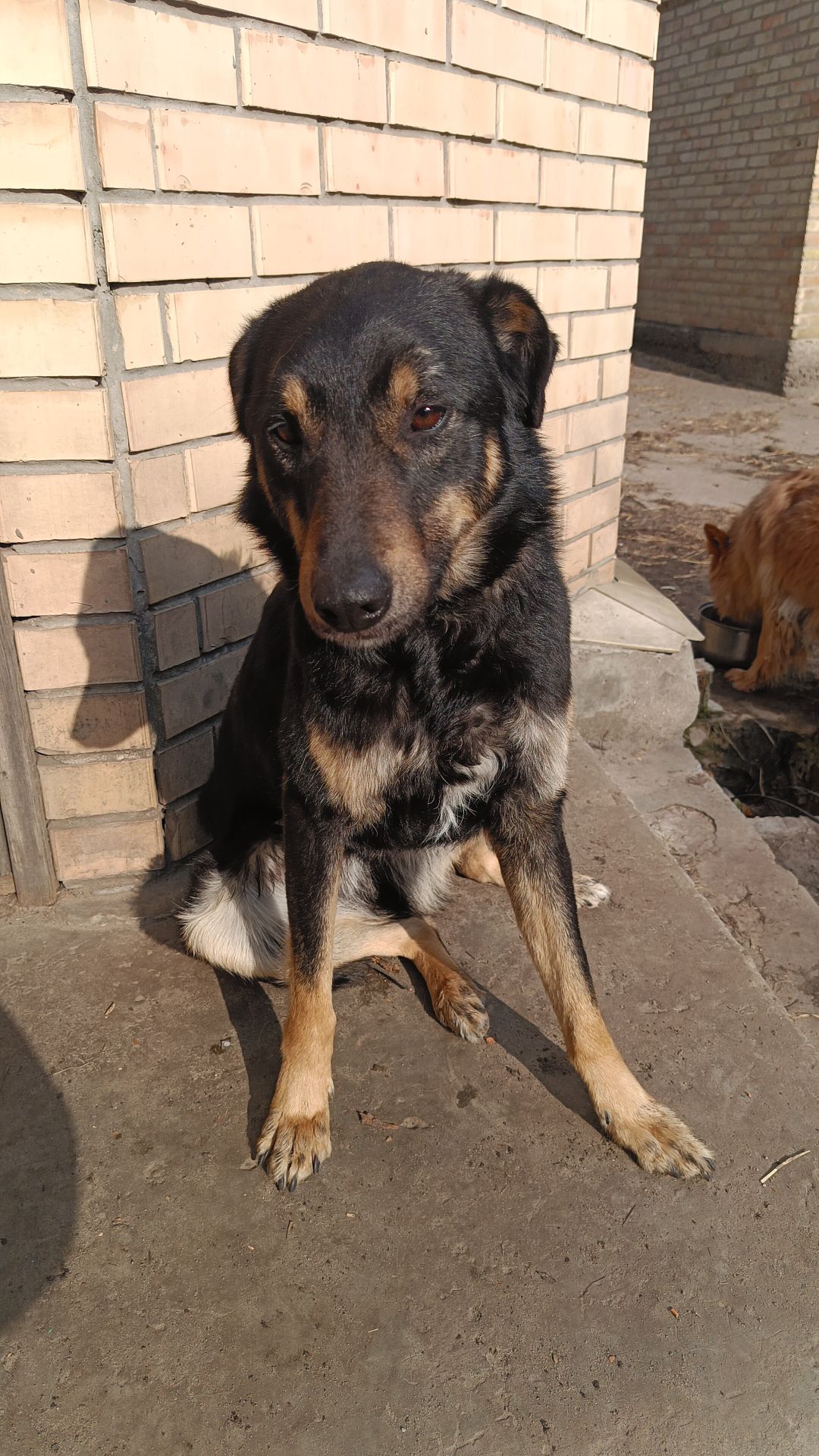 Тео - не типовий хлопець