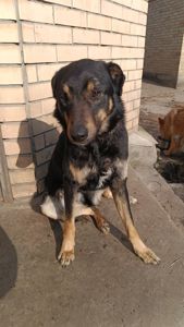 Тео - не типовий хлопець