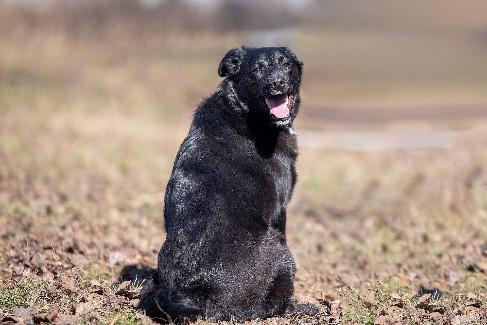 Охіто