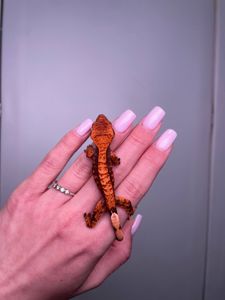 Ручний гекон бананоїд, війчастий гекон, реснитчастый гекон, другие виды