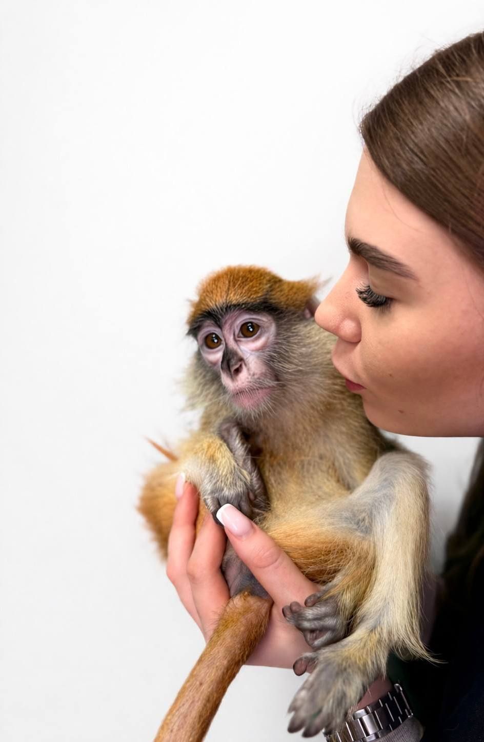 Мавпочка обезьянка ручна Гусар, найрозумніший примат у світі, домашній гусар