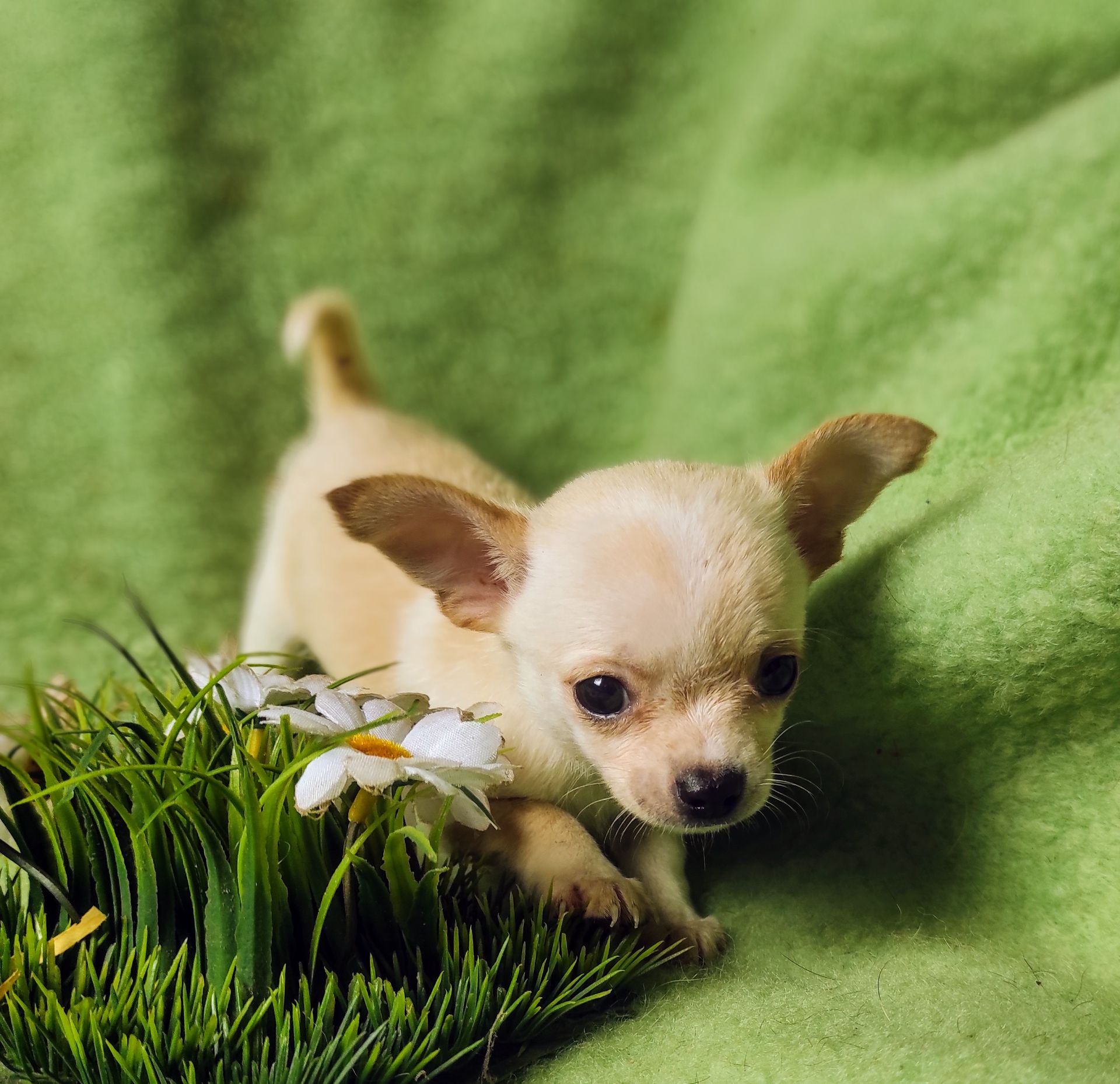 Неймовірно милий хлопчик