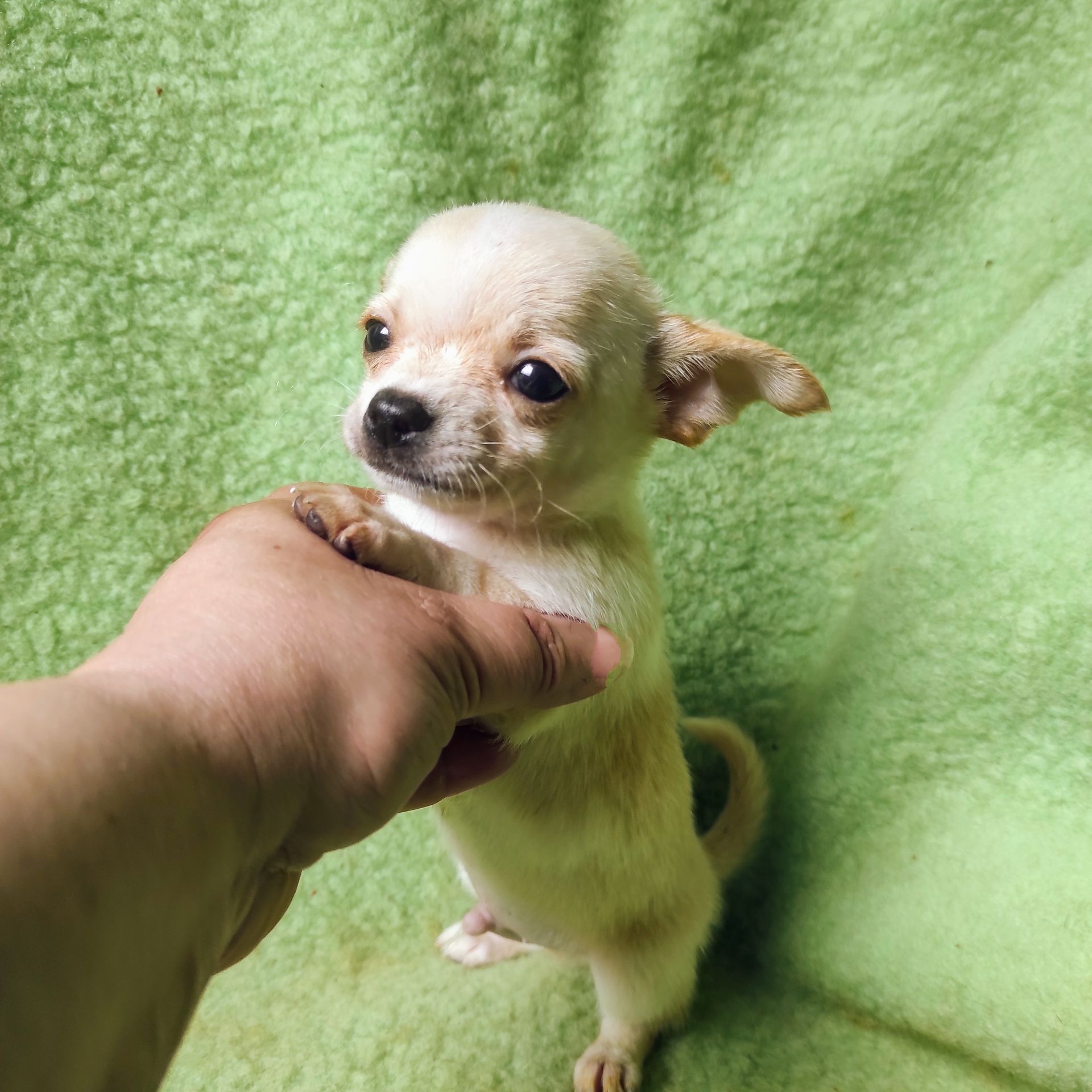 Неймовірно милий хлопчик