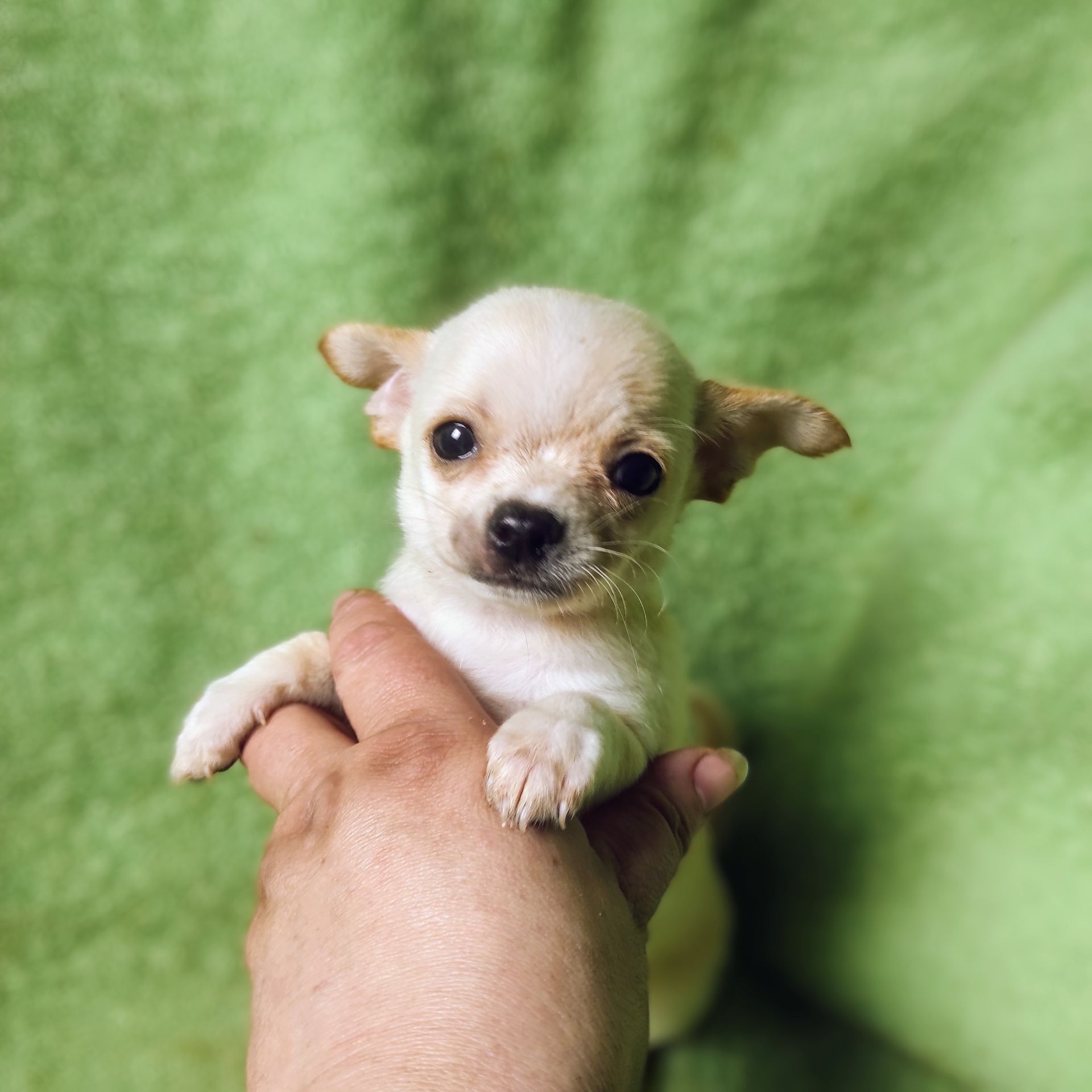 Неймовірно милий хлопчик