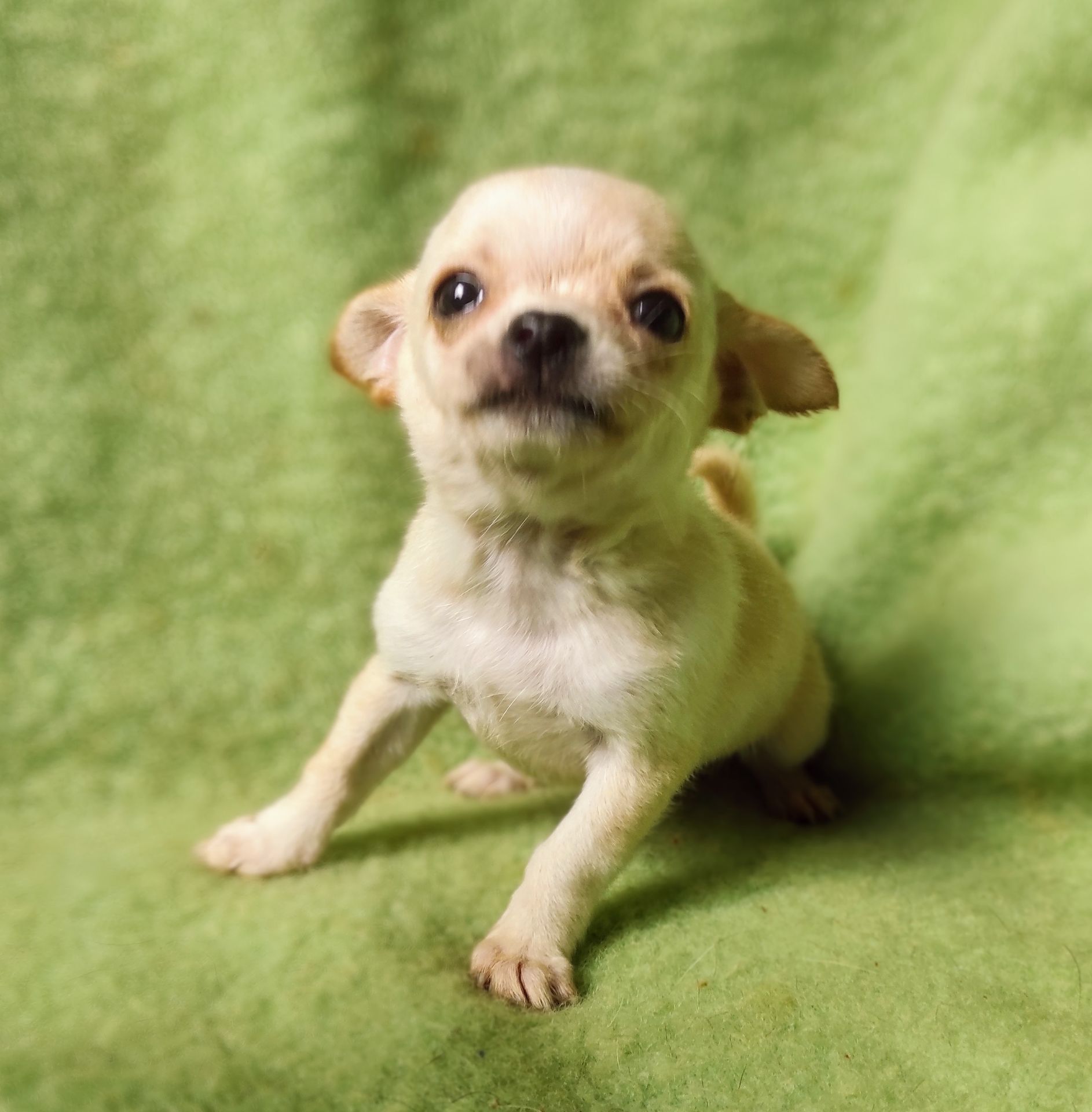 Неймовірно милий хлопчик