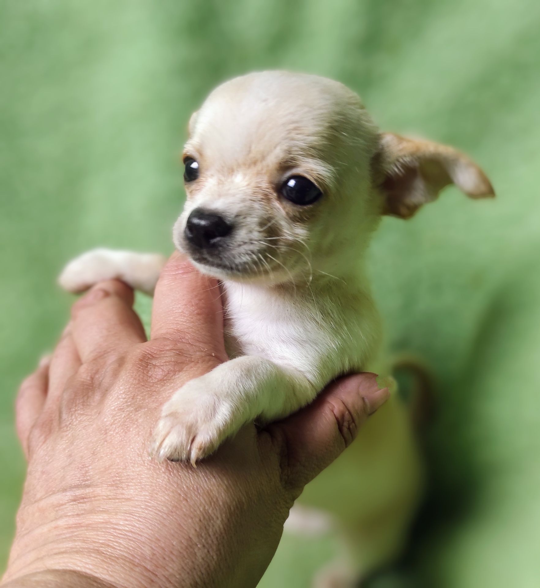 Неймовірно милий хлопчик