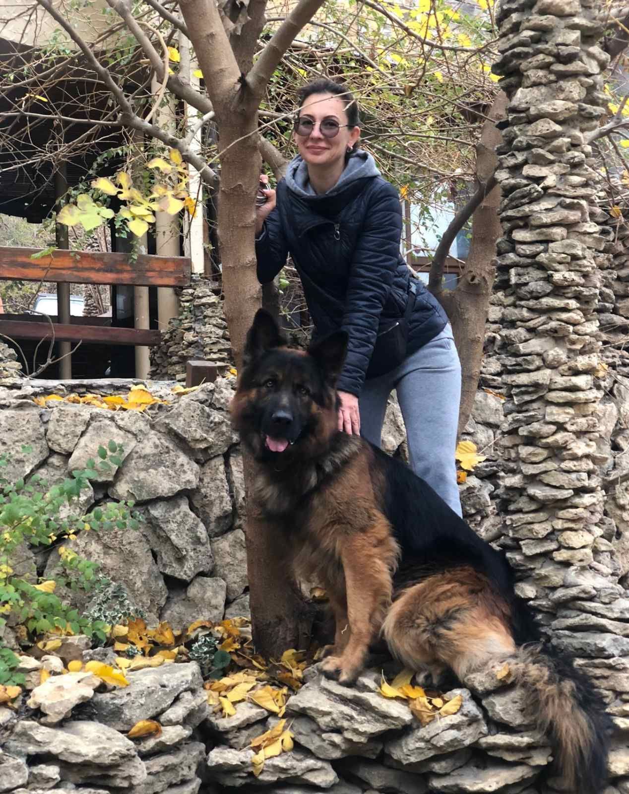 Щенки немецкой овчарки