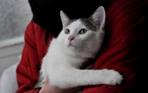 Кошеня Саша