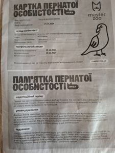 Продам какаріка разом з кліткою