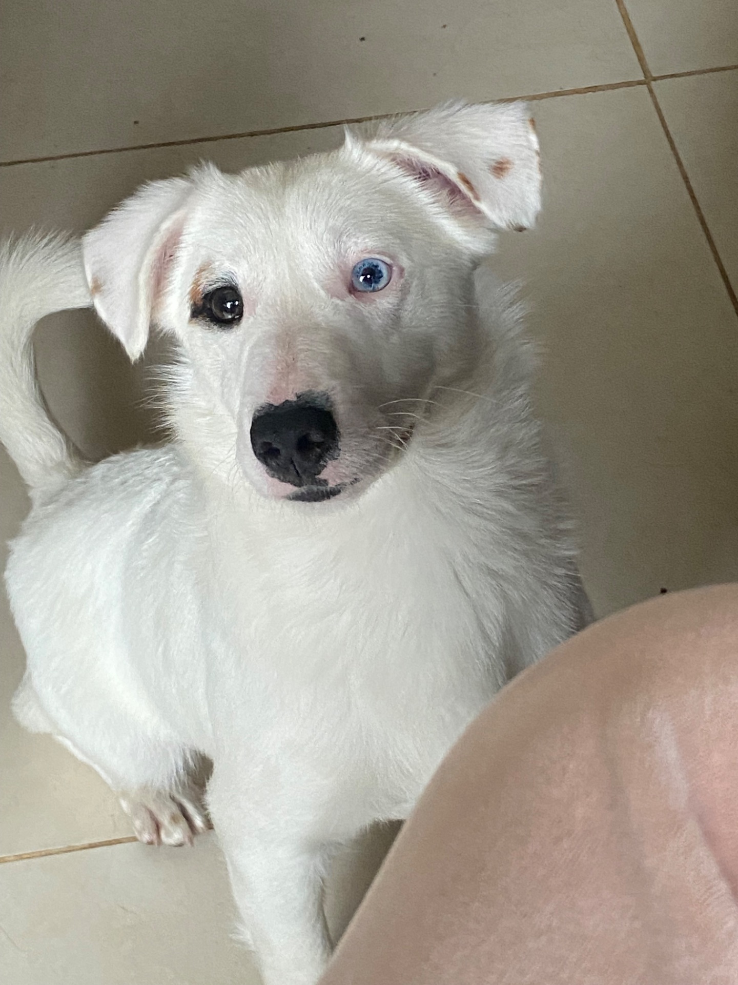 Продам срочно