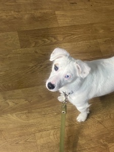 Продам срочно