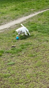 Продам срочно