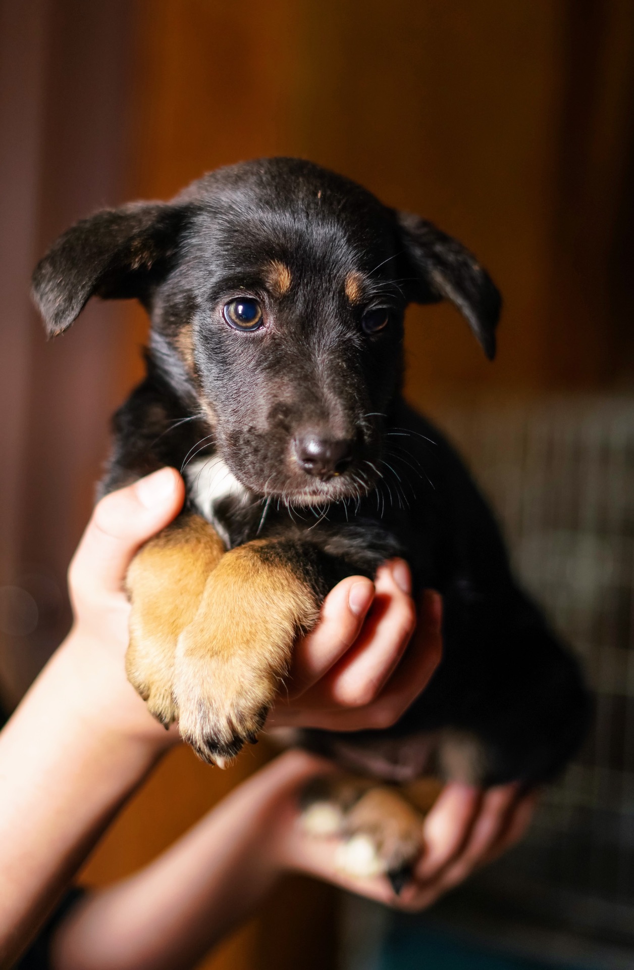 Дуже гарна манюня мріє про добру родину!