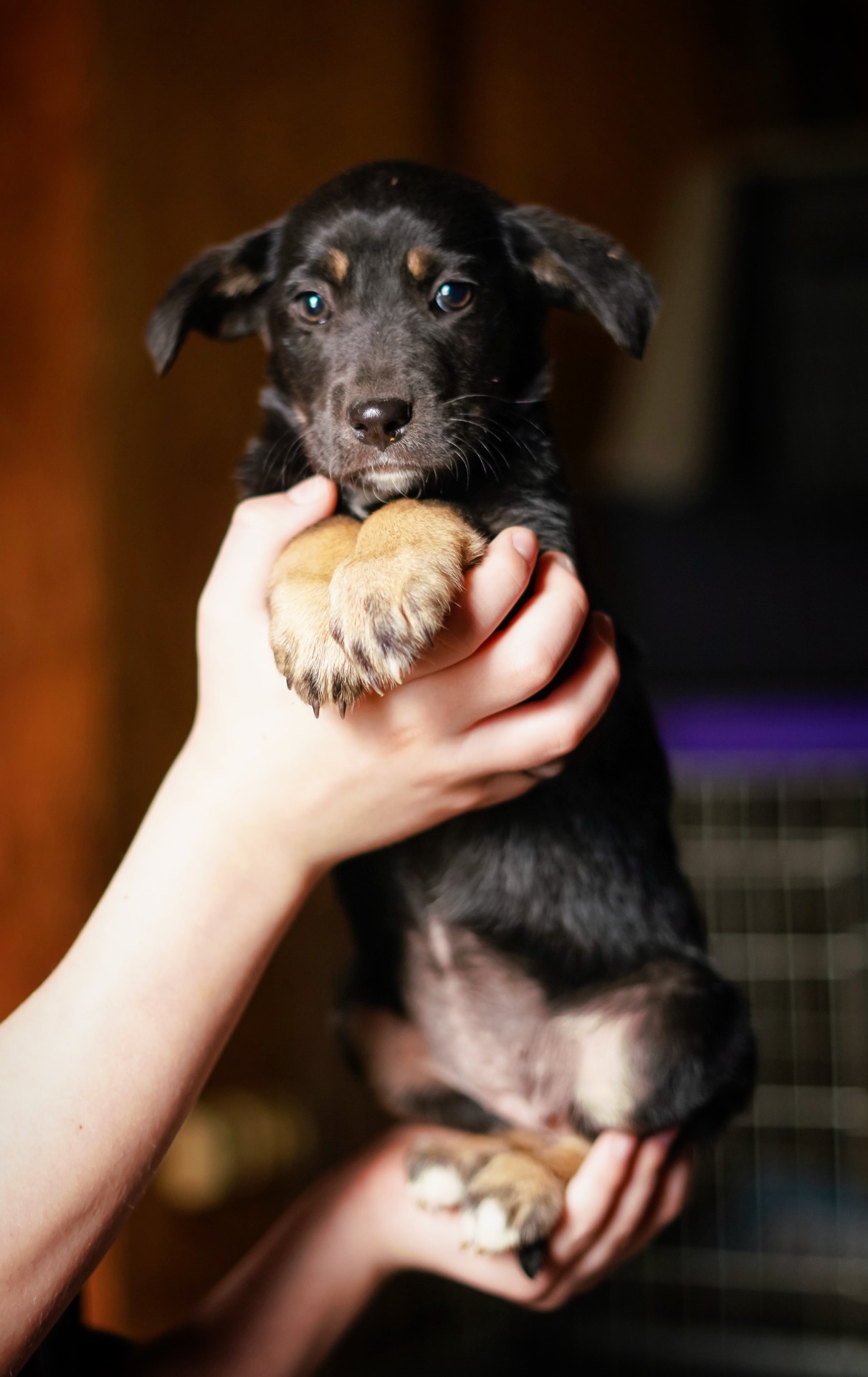 Дуже гарна манюня мріє про добру родину!