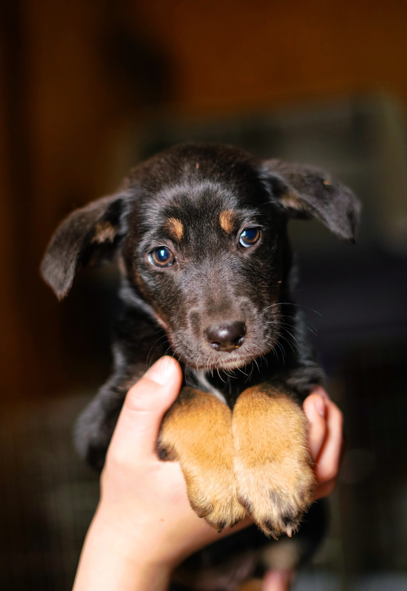 Дуже гарна манюня мріє про добру родину!