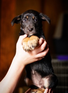 Дуже гарна манюня мріє про добру родину!