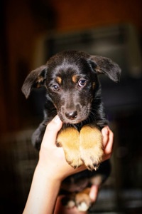 Дуже гарна манюня мріє про добру родину!