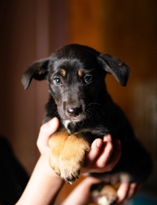 Дуже гарна манюня мріє про добру родину!