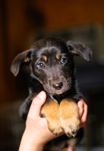 Дуже гарна манюня мріє про добру родину!