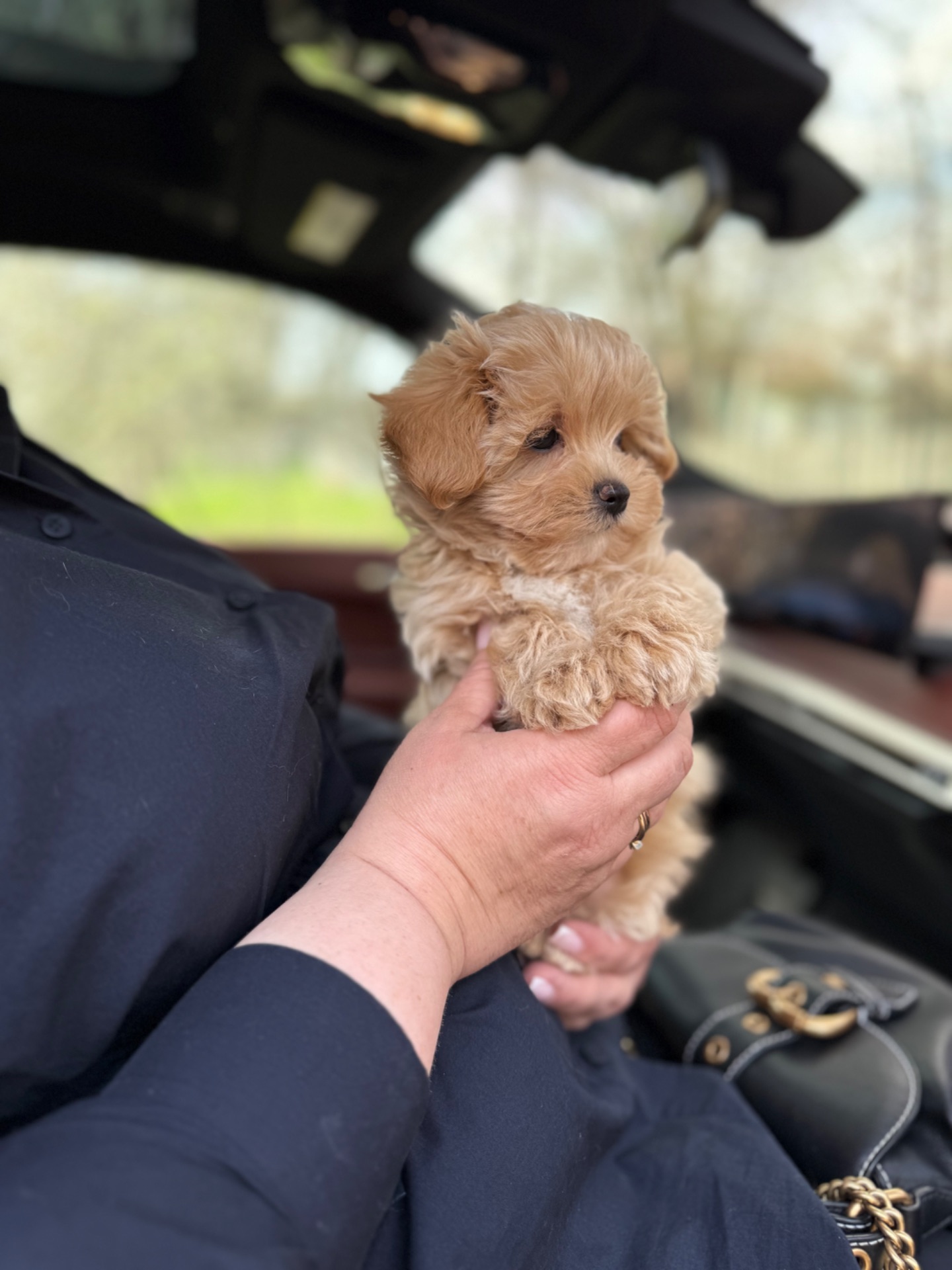 Карамельний супер міні хлопчик