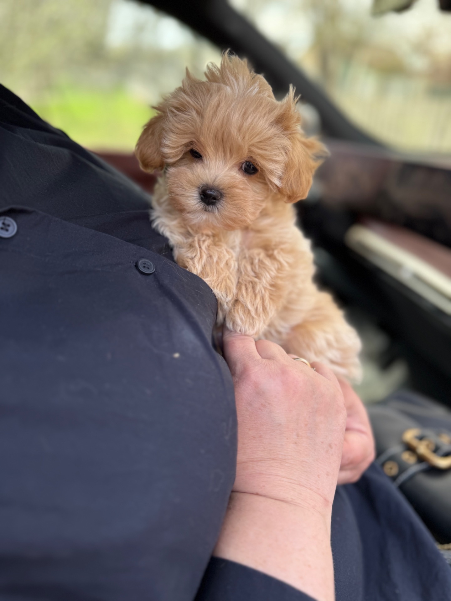 Карамельний супер міні хлопчик