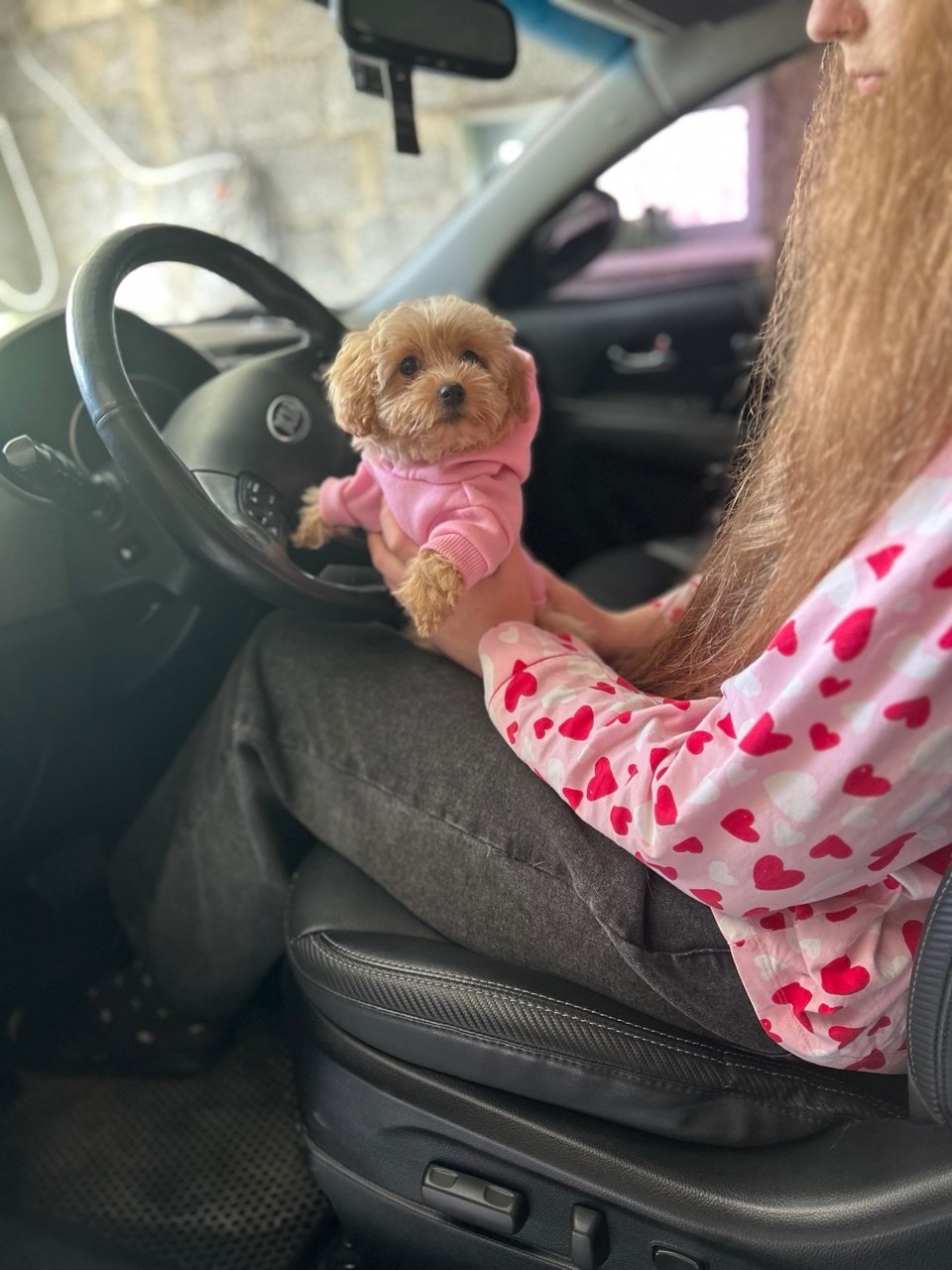 Чарівна дівчинка мальтипу міні