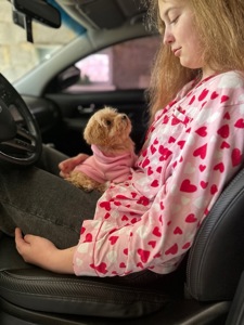 Чарівна дівчинка мальтипу міні