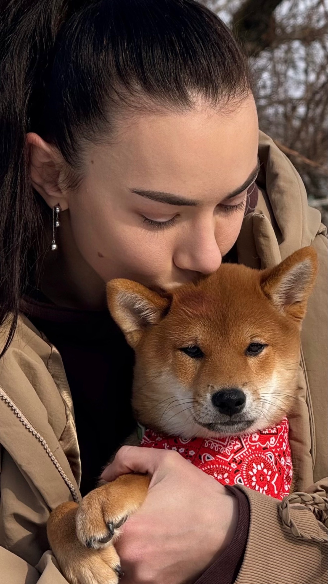 Щенки шиба/сіба іну