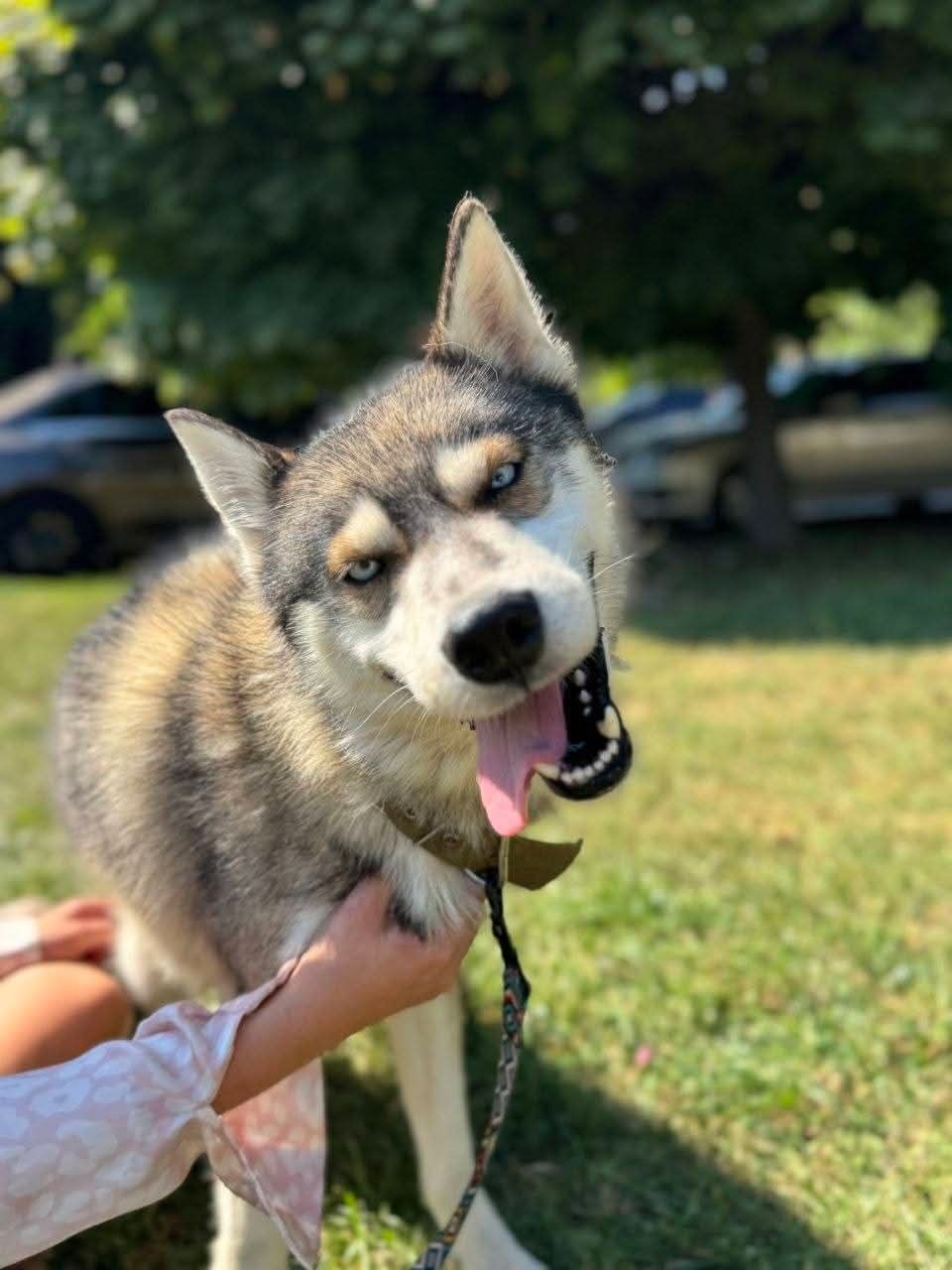 Класнючий Рей в пошуках родини