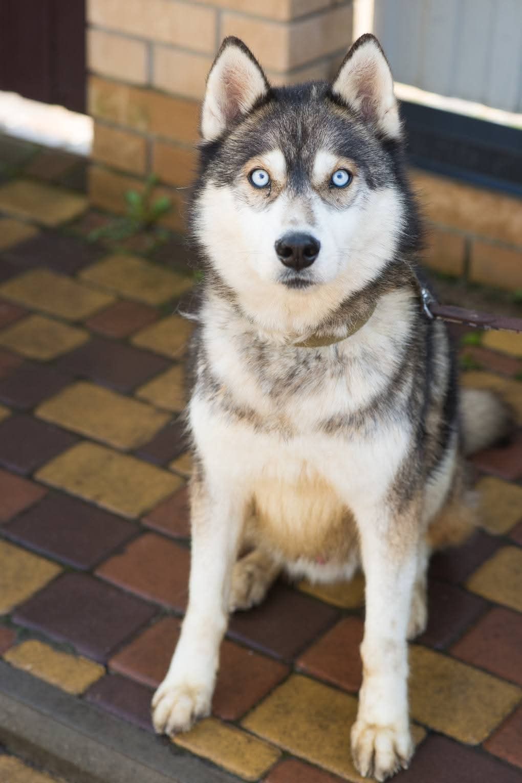 Класнючий Рей в пошуках родини