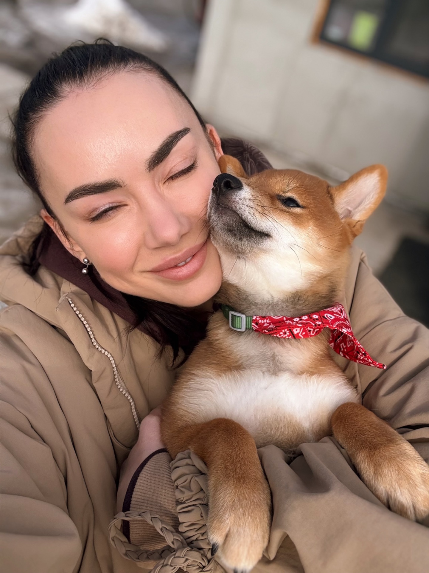 Щенки шиба/сіба іну