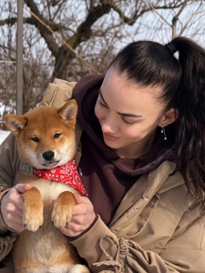 Щенки шиба/сіба іну