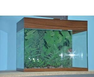 Акваріум+ рибки