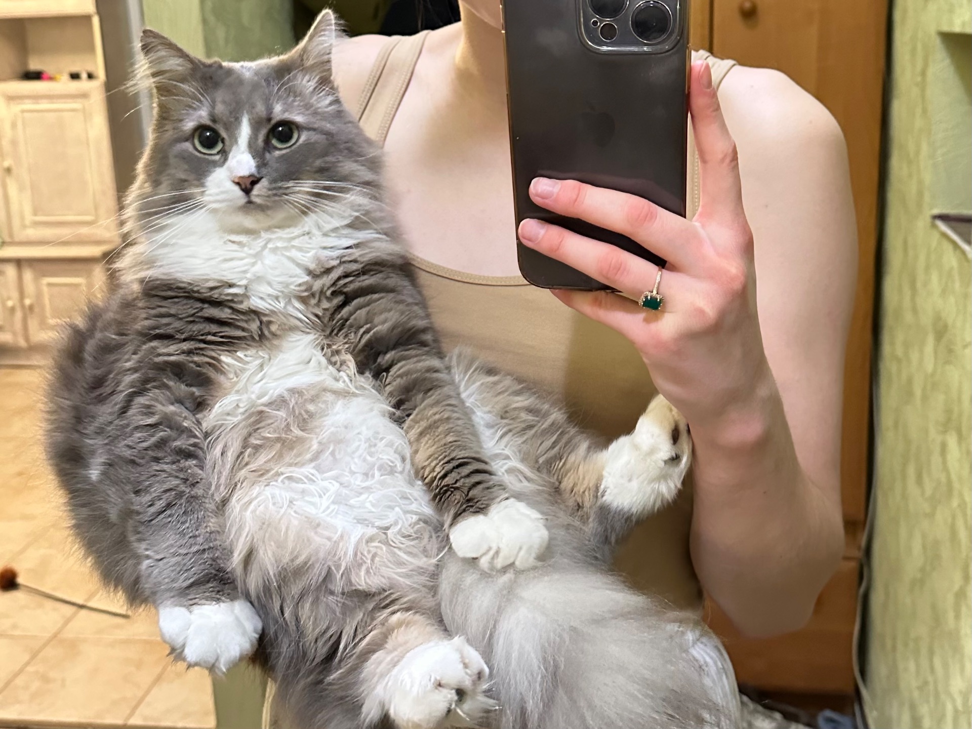 Пухнастий котик Смурфік