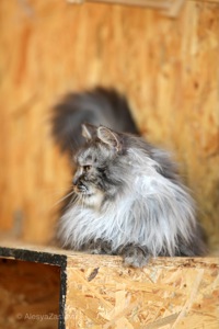 Красень Мартін