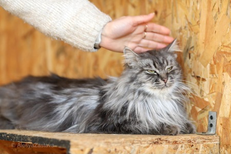 Красень Мартін