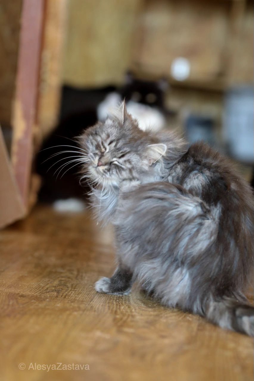 Красень Мартін