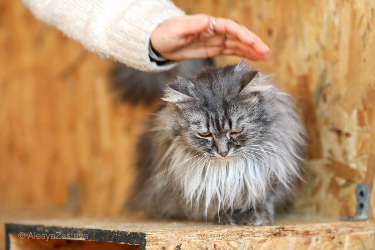 Красень Мартін