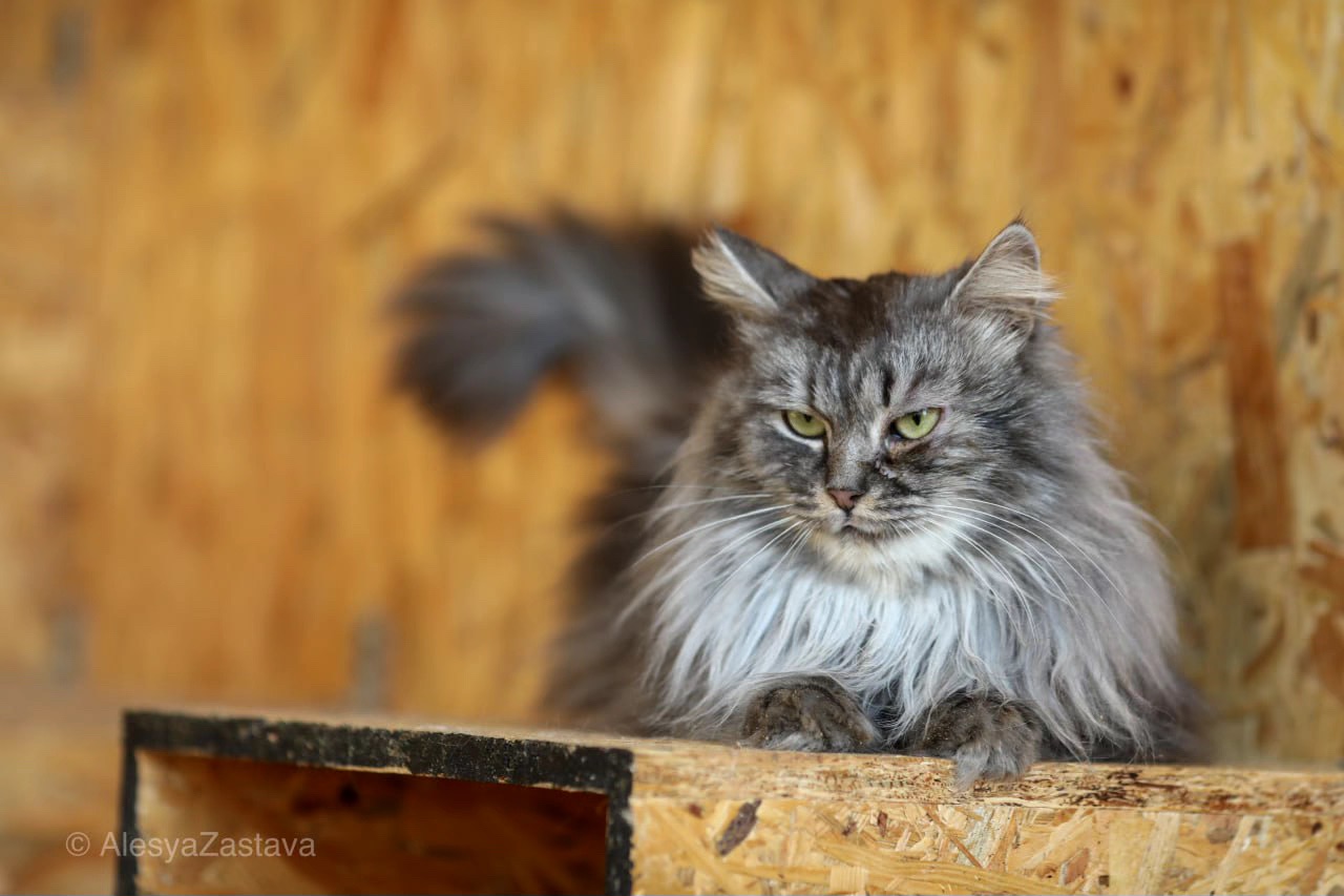 Красень Мартін