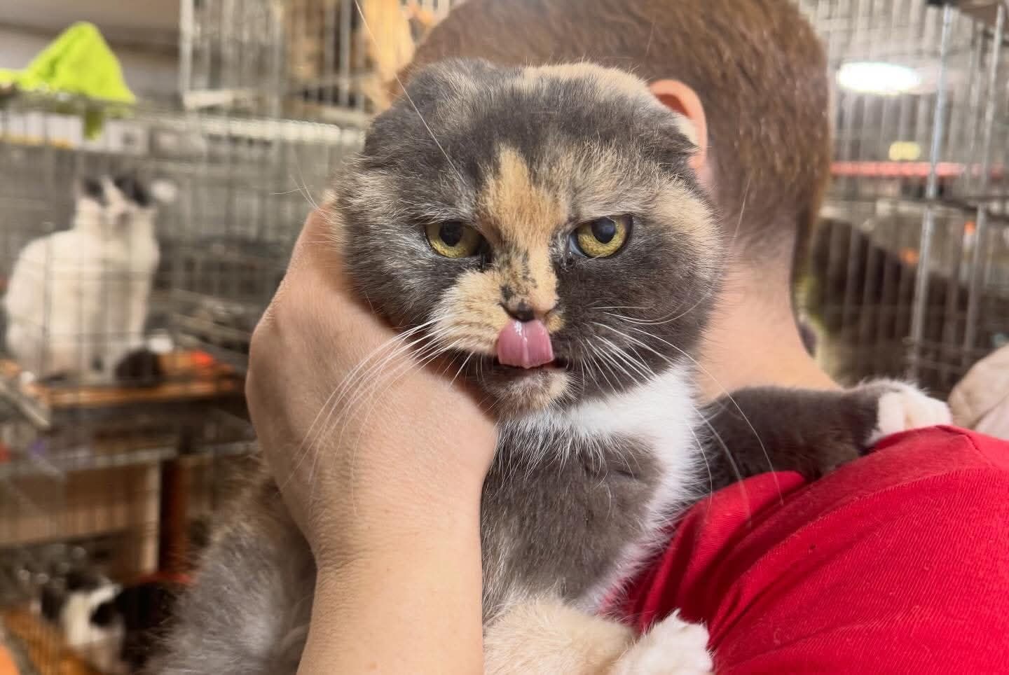 Венді, 2 роки