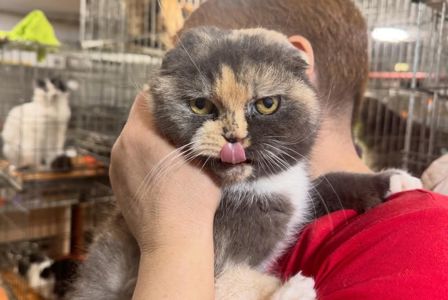 Венді, 2 роки