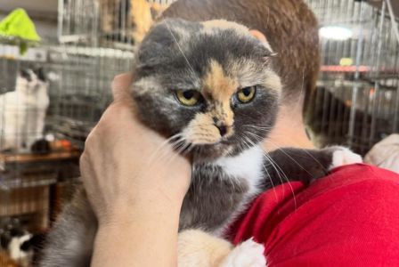 Венді, 2 роки