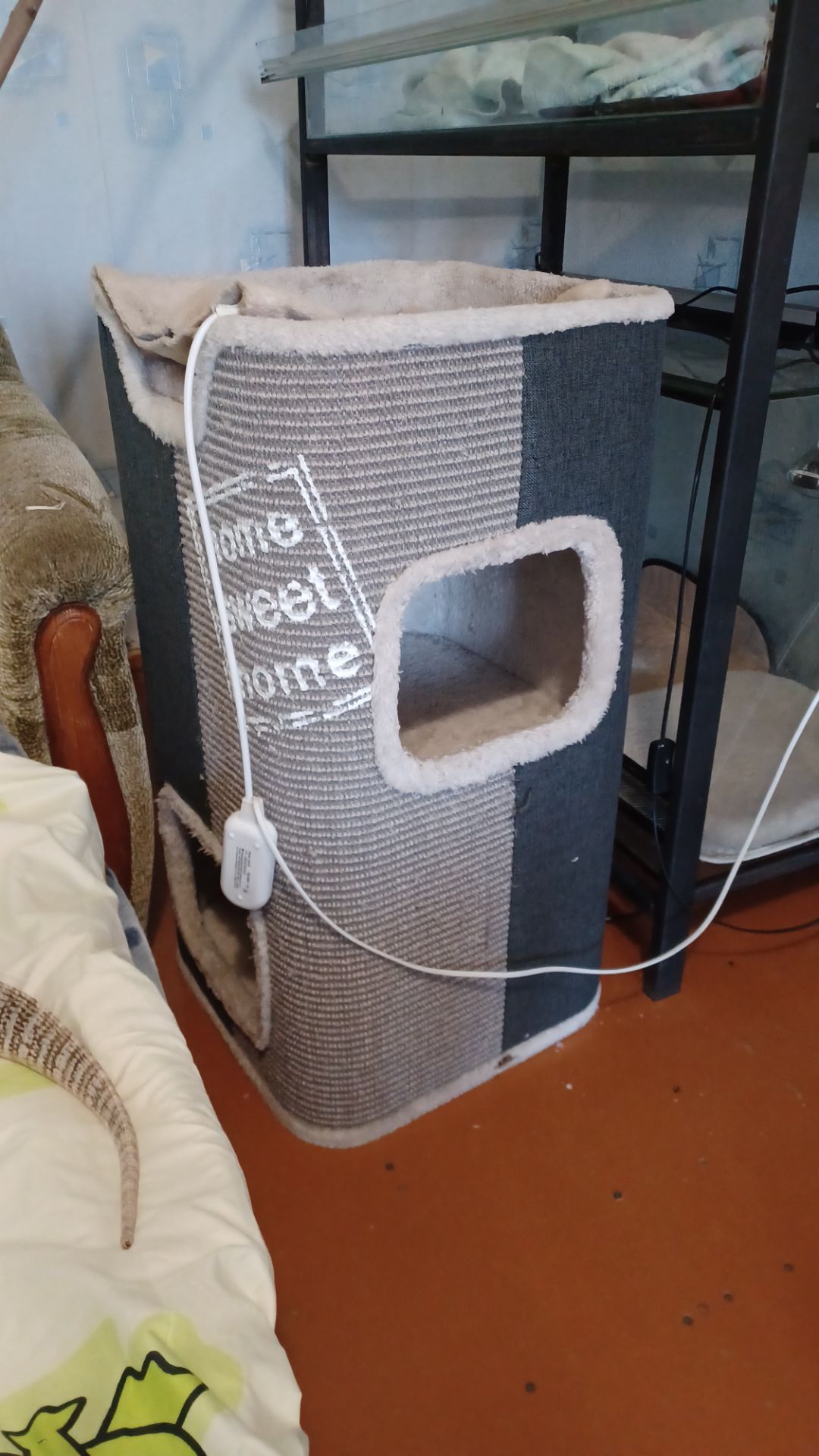 Взрослый капский варан с оборудованием