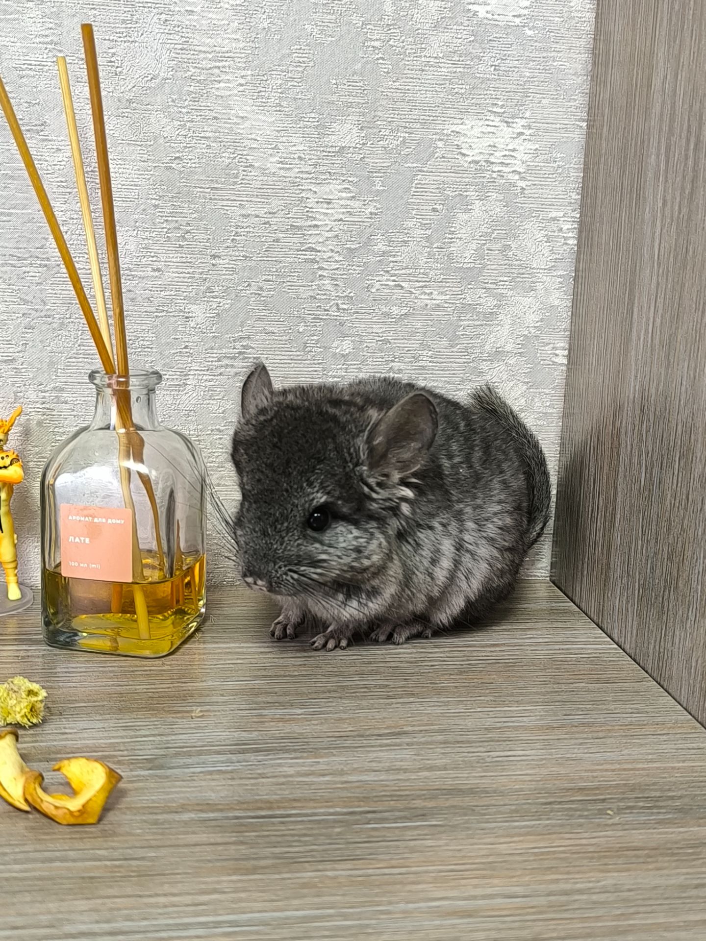 Дівчинка світла ебоні нф