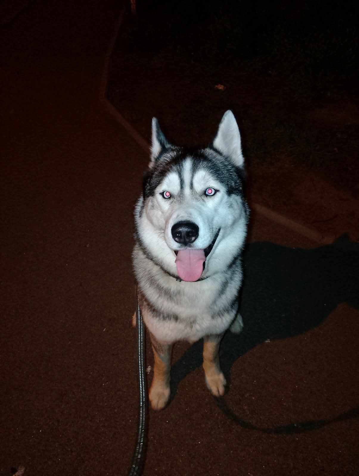 Ищем девочку для связки ЦЕНА ДОГОВОРНАЯ!!!